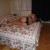 DSCF0777 DSCF0777