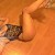 Avrupa Yakasının En tatlısı NAZ ile dolu dolu sex yaşayın - Image 5 Avrupa Yakasının En tatlısı NAZ ile dolu dolu sex yaşayın - Image 5