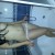 Mecidiyeköy Escort Bayan Peri - Image 7 Mecidiyeköy Escort Bayan Peri - Image 7