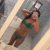 Beylikdüzü Lolita Escort Yağmur - Image 1 Beylikdüzü Lolita Escort Yağmur - Image 1